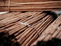 Picture for category Poles