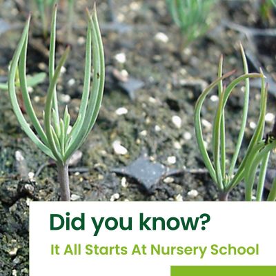 We Start At Seedling Nursery School