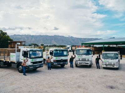 Record Week For Somerset Timbers