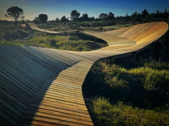 Picture of Pine Economy BOARDWALK 36x110mm CCAH3 Treat 1.2m