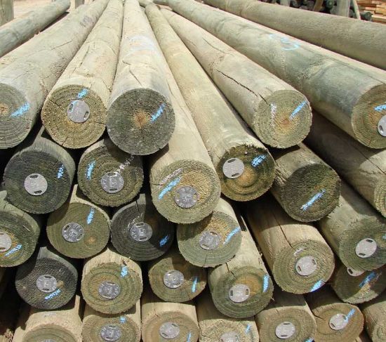 Picture of SABS Pine Pole 180/199mm CCA H4 Trt 3.0m